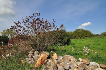 Parco della Murgia Materana